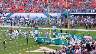 Dolphins game entrance [upl. by Landsman]