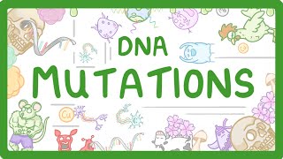 GCSE Biology  What are DNA Mutations 67 [upl. by Hild]