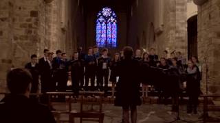 Chorale Exultemus  Anima Christi [upl. by Gniw]