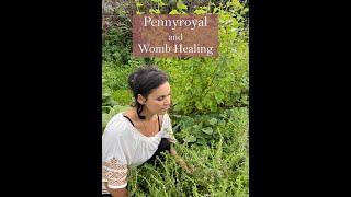 Pennyroyal and womb healing from the Ivywood Garden [upl. by Dnumyar312]