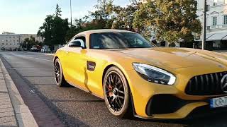 Mercedes AMG GT Roaring Elegance 🐆 [upl. by Nihs]