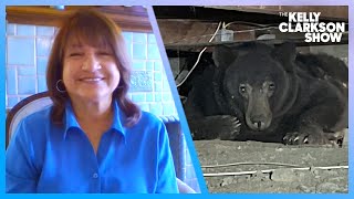 LA Woman Discovered A Bear Under Her House [upl. by Leur]