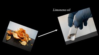 Extracting Limonene Oil from Orange Peels [upl. by Nadoj576]