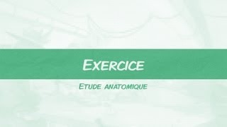 IM Daily 23  Exercice  étude anatomique [upl. by Latty]