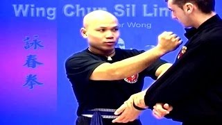 Wing Chun kung fu siu lim tao fight Preview [upl. by Wylie812]