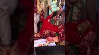 eleena chauhan married viral video Eleena chauhaan New video [upl. by Nial]