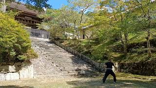 琉球古武道釵術型北谷屋良のサイ Ryukyu Kobudo Saijutsu Chatan Yara Sai 忍者 ninja 京都 kyoto [upl. by Arun]