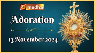 🔴 LIVE 13 November 2024 Adoration 1100 AM  Madha TV [upl. by Arik]