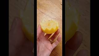 🇹🇷 LİMON GARNITÜR 🇬🇧 LEMON GARNISH 🇧🇪 CITRON GARNITURE shorts lemon food recipe [upl. by Arat501]