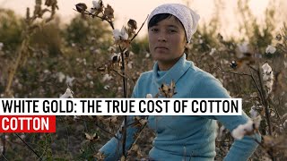 White Gold  The True Cost Of Cotton [upl. by Eedak]