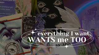 quoteverything I want wants me tooquot blockage remover amp mindset booster subliminal calm 432Hz [upl. by Ivets]