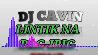 LINTIK NA PAGIBIG REMIX DJCAVIN 2K24 [upl. by Mannuela]