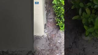 DIY Downspout amp Gutter Repair in Sarasota Step by Step Guide Part 1 downspouts gutterrepair [upl. by Modern]