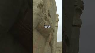 AutodidactProfessorcom The Satraps Persian Empires Power Players History youtubeshorts shorts [upl. by Ahsema]