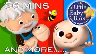 Learn with Little Baby Bum  BINGO Part 2  Nursery Rhymes for Babies  Songs for Kids [upl. by Valle854]