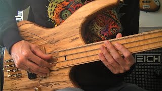 Fearless Fretless Bass Grooves [upl. by Adeehsar]