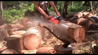 How to keep your chainsaw sharp while bucking logs in the rocks [upl. by Hinkle]