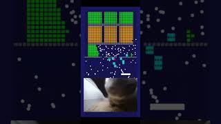 CHAPI CHAPI CHAPA cat cute gaming funny [upl. by Herman]