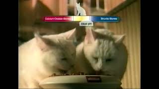 VHS  Vintage Whiskas Perfect Balance TV Commercial [upl. by Goulet]