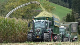 Große Maisernte 2022 mit Fs Agrolohn [upl. by Anikes]