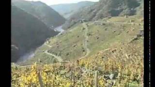 Vino DO Ribeira Sacra [upl. by Yeliak286]