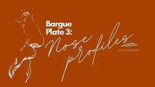 Bargue Plate 3 Nose Profiles by The Artjectory [upl. by Auoy]