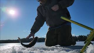 Ice Fishing Half Moon Lake Barnstead New Hampshire one Smallmouth Bass [upl. by Ymmot549]