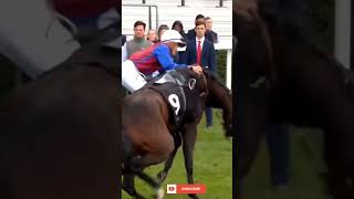 Korker Making Life Very Difficult For PierreLouis Jamin 😅 horselifevd horseracing horserace [upl. by Novonod691]