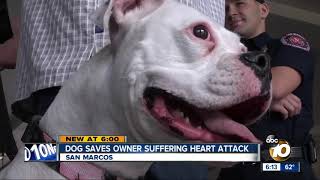 Dog saves owner suffering widowmaker heart attack [upl. by Nilyahs635]