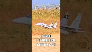 RC Plane F15 Eagle 90mm EDF Perfect Landing [upl. by Ware]