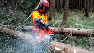 Chainsaw Husqvarna 572 XP  GARDEN AND FOREST [upl. by Nylassej]