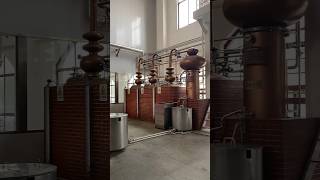 Patented distillation equipment pot still distiller brandy and whisky distiller [upl. by Jeffie]