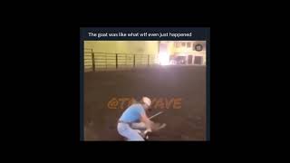 Goat like what happened viral animals [upl. by Hemetaf929]