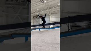 Snowboarding Everyday Until One Of Us Gets Rich ft Brian Balico [upl. by Kila]