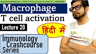 Macrophage and T cell activation in Hindi [upl. by Jeffers]