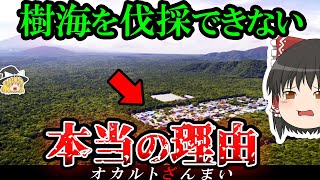 【謎】なぜ「日本最凶の森」樹海を伐採できないのか？【ゆっくり解説】 [upl. by Eener306]