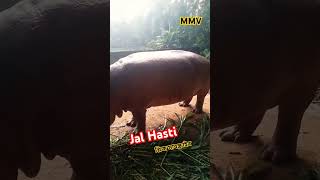 Jal hasti  Dhaka shorts youtubeviral [upl. by Oeramed]