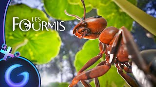 LES FOURMIS  Gameplay FR [upl. by Churchill816]