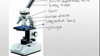 Microscope parts [upl. by Solhcin]