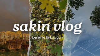 Sakin Vlog Ekim Ayı Son Günleri [upl. by Bradlee190]