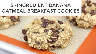 3INGREDIENT BANANA OATMEAL BREAKFAST COOKIES [upl. by Ahsaetal]