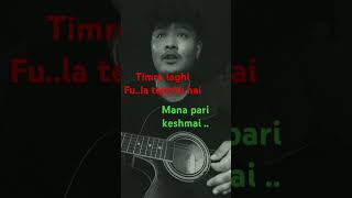 Timro laghi fula tipchu hai  cover song [upl. by Analem880]