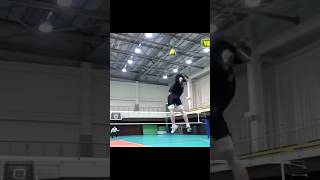 Nishidas serve 🤯🔥edit athlete love volleyball ball vertical spike athletic movie [upl. by Aleek579]