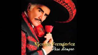 Vicente Fernandez El ultimo en la fila [upl. by Bunde]