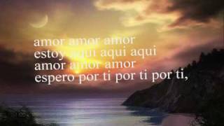 nilton cesar amor amor amor [upl. by Ahtnams746]