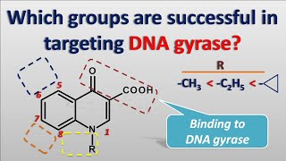 SAR of fluoroquinolones  Ofloxacin ciprofloxacin norfloxacin [upl. by Schnur]
