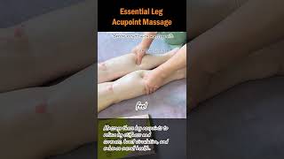 Essential Leg Acupoint Massage legmassage acupointtherapy calfpainrelief physicaltherapy [upl. by Jamnes]