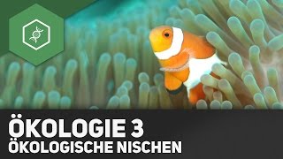 Umweltfaktoren und Ökologische Nischen  Ökologie 3 [upl. by Philemol]