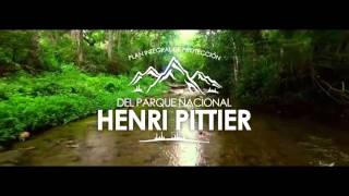 Plan Integral de Protección del Parque Nacional Henri Pittier  MBI [upl. by Ulrich]