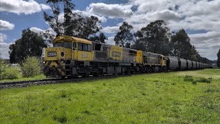 TasRail 2054 2001 46 Coal train crossing Main Road Perth [upl. by Katey]